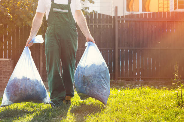 Best Electronics and E-Waste Disposal  in Roebuck, SC